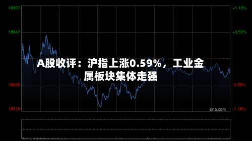 A股收评：沪指上涨0.59%，工业金属板块集体走强