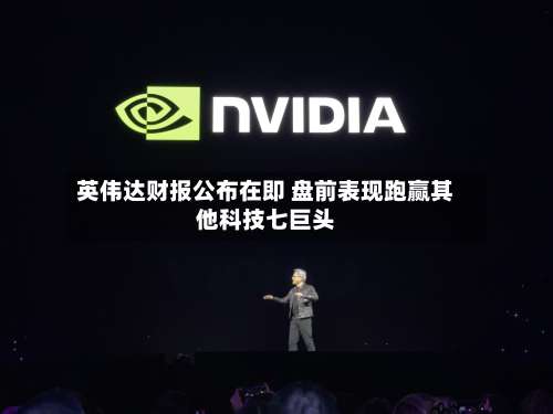 英伟达财报公布在即 盘前表现跑赢其他科技七巨头