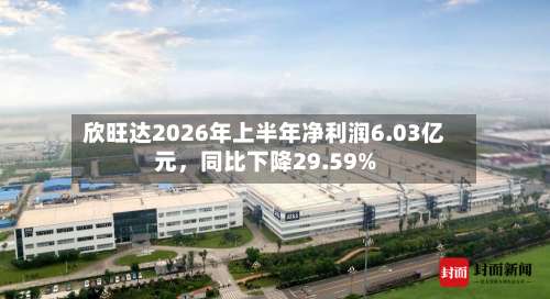 欣旺达2026年上半年净利润6.03亿元，同比下降29.59%-第3张图片
