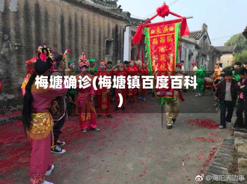 梅塘确诊(梅塘镇百度百科)-第2张图片