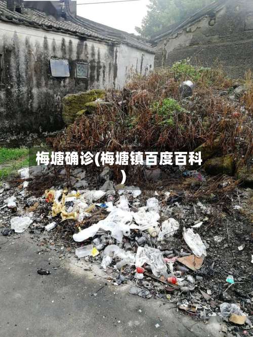 梅塘确诊(梅塘镇百度百科)-第3张图片