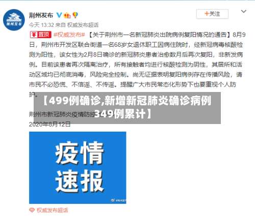 【499例确诊,新增新冠肺炎确诊病例349例累计】