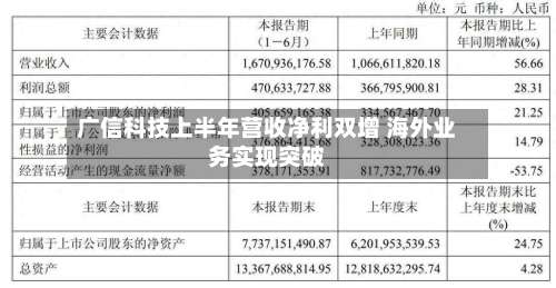 广信科技上半年营收净利双增 海外业务实现突破-第2张图片