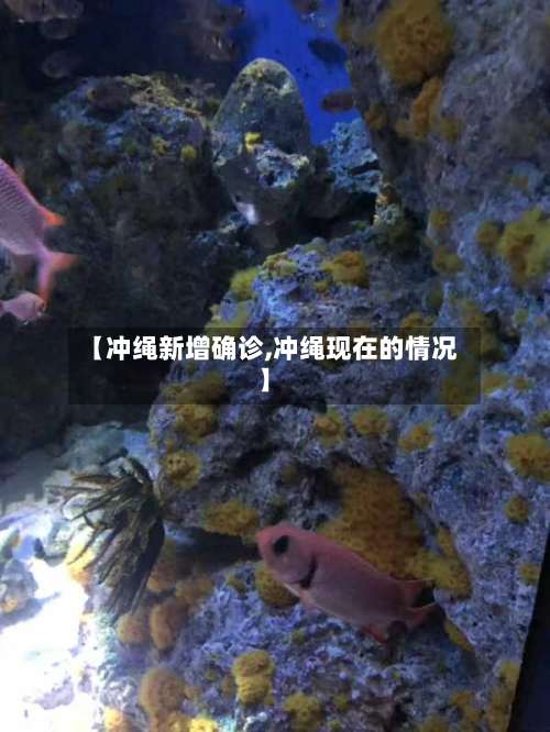 【冲绳新增确诊,冲绳现在的情况】-第3张图片