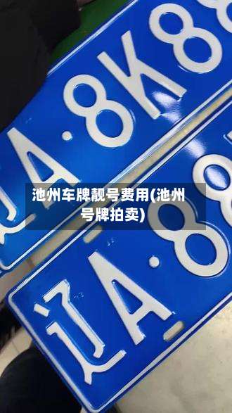 池州车牌靓号费用(池州号牌拍卖)-第3张图片