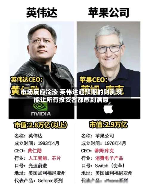 市场反应冷淡 英伟达超预期的财测没能让所有投资者都感到满意-第3张图片