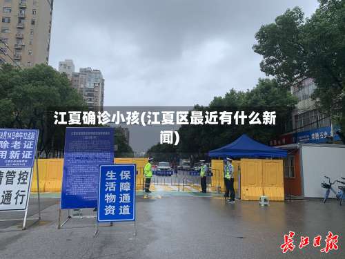 江夏确诊小孩(江夏区最近有什么新闻)-第2张图片