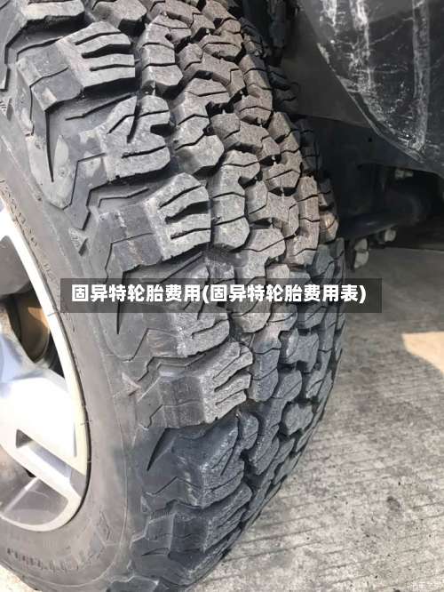 固异特轮胎费用(固异特轮胎费用表)-第2张图片