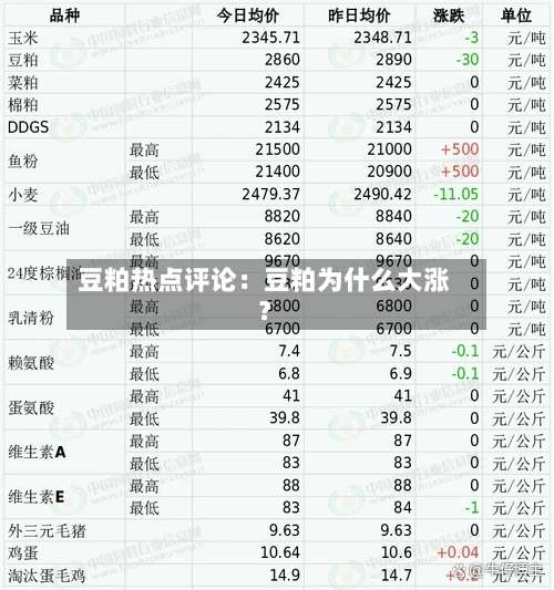 豆粕热点评论：豆粕为什么大涨？-第1张图片