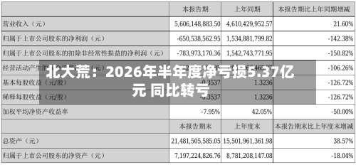 北大荒：2026年半年度净亏损5.37亿元 同比转亏-第2张图片