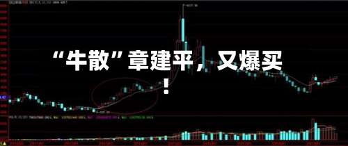 “牛散”章建平，又爆买！-第2张图片