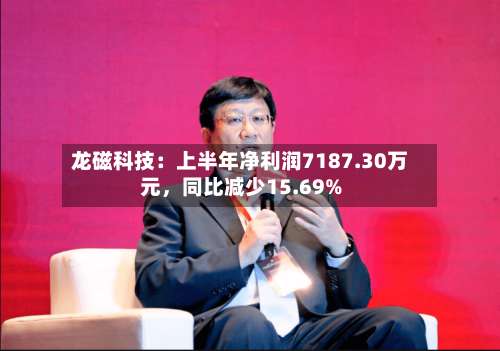 龙磁科技：上半年净利润7187.30万元	，同比减少15.69%-第2张图片