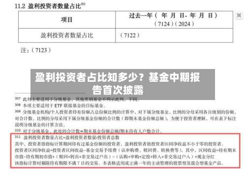 盈利投资者占比知多少？基金中期报告首次披露-第2张图片