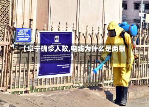 【阜宁确诊人数,电线为什么是两根】-第2张图片