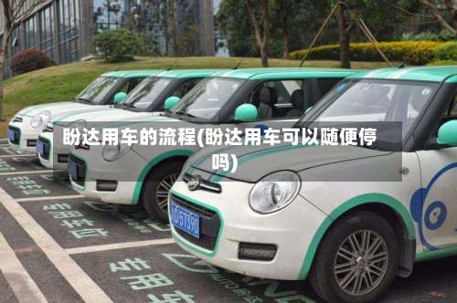 盼达用车的流程(盼达用车可以随便停吗)-第2张图片