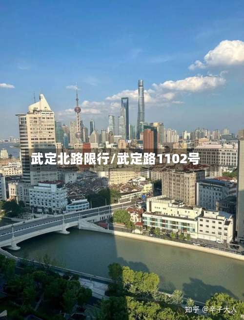 武定北路限行/武定路1102号-第2张图片