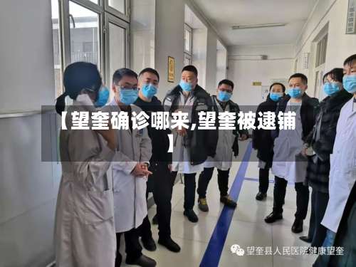 【望奎确诊哪来,望奎被逮铺】-第2张图片