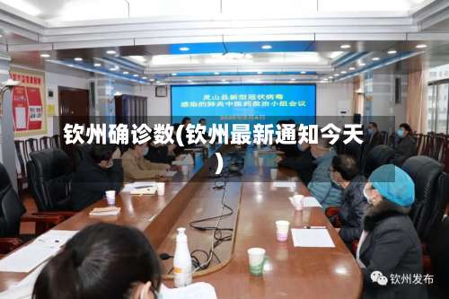 钦州确诊数(钦州最新通知今天)-第3张图片