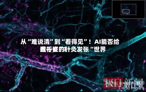 从“难说清”到“看得见”！AI能否给数千岁的针灸发张“世界通行证	”？-第2张图片