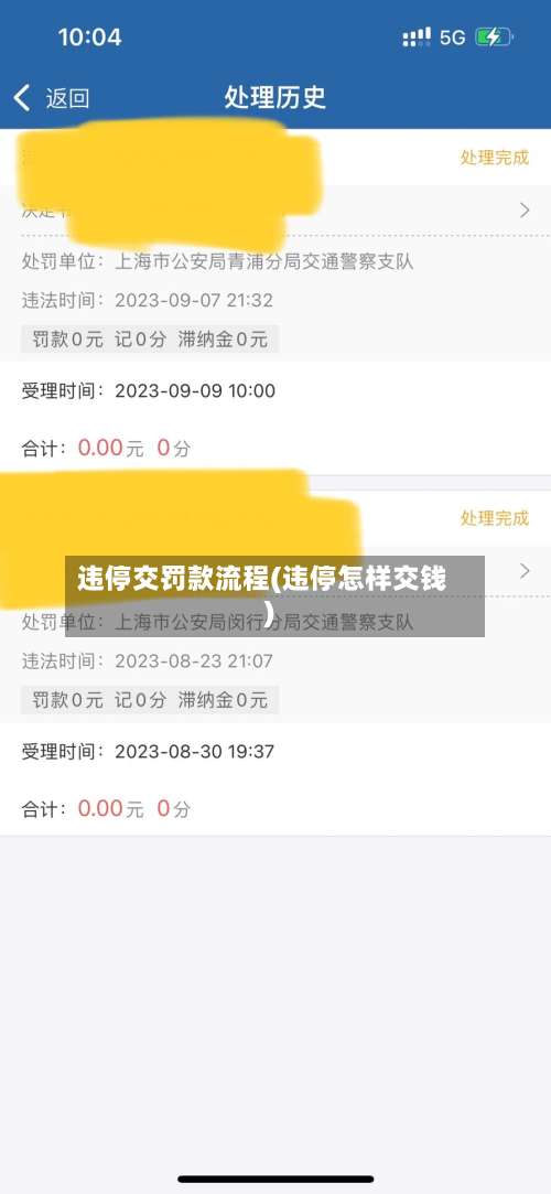 违停交罚款流程(违停怎样交钱)-第2张图片