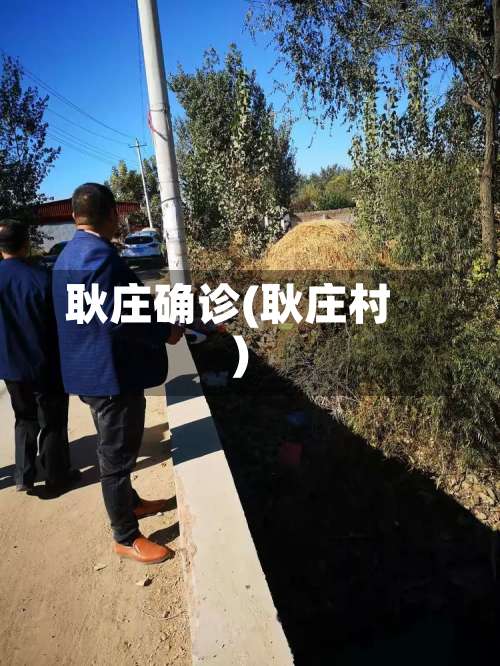 耿庄确诊(耿庄村)-第2张图片