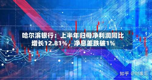 哈尔滨银行：上半年归母净利润同比增长12.81%，净息差跌破1%-第1张图片