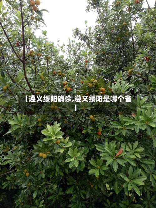 【遵义绥阳确诊,遵义绥阳是哪个省】