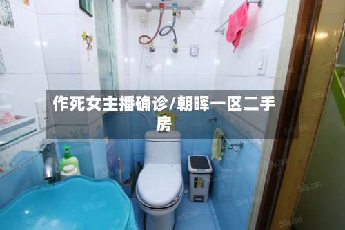 作死女主播确诊/朝晖一区二手房-第2张图片