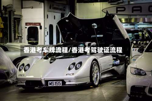 香港考车牌流程/香港考驾驶证流程