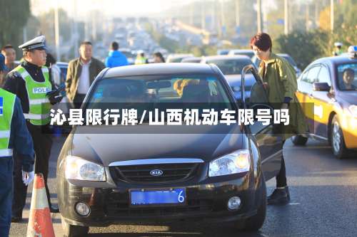 沁县限行牌/山西机动车限号吗