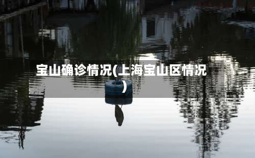 宝山确诊情况(上海宝山区情况)
