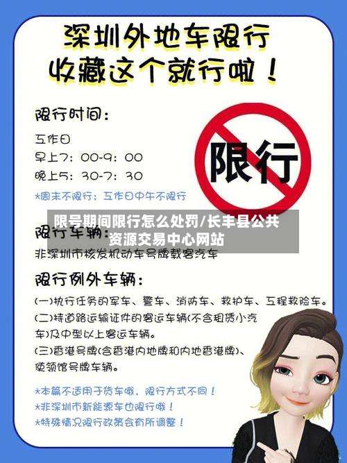 限号期间限行怎么处罚/长丰县公共资源交易中心网站
