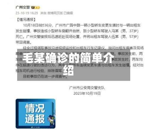 毛某确诊的简单介绍