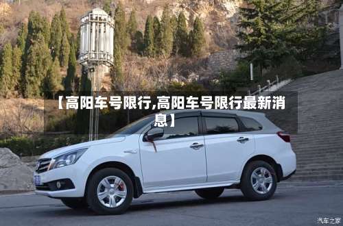 【高阳车号限行,高阳车号限行最新消息】-第3张图片