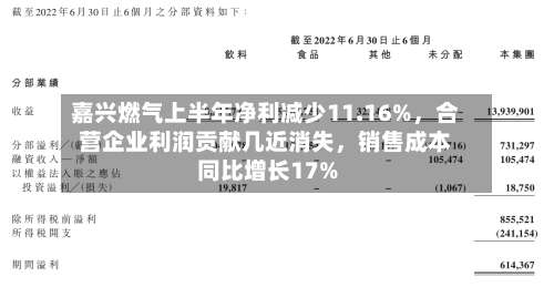 嘉兴燃气上半年净利减少11.16%，合营企业利润贡献几近消失，销售成本同比增长17%