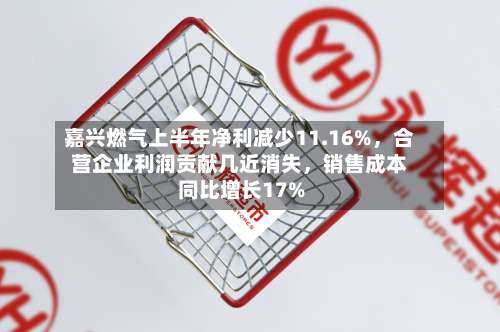 嘉兴燃气上半年净利减少11.16%，合营企业利润贡献几近消失，销售成本同比增长17%-第2张图片