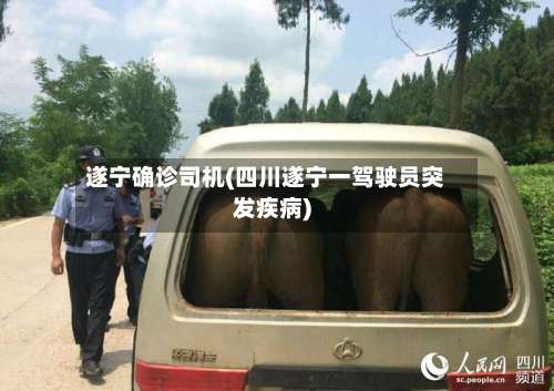遂宁确诊司机(四川遂宁一驾驶员突发疾病)-第3张图片