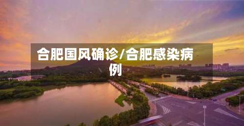 合肥国风确诊/合肥感染病例-第2张图片