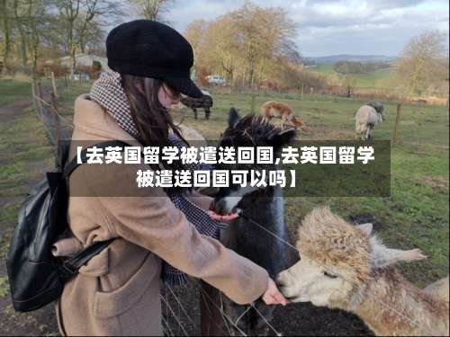 【去英国留学被遣送回国,去英国留学被遣送回国可以吗】
