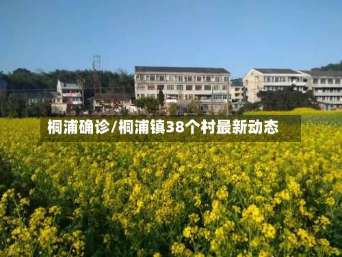 桐浦确诊/桐浦镇38个村最新动态-第2张图片