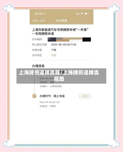 上海牌照退牌流程/上海牌照退牌流程图