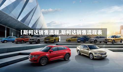 【斯柯达销售流程,斯柯达销售流程表】-第3张图片