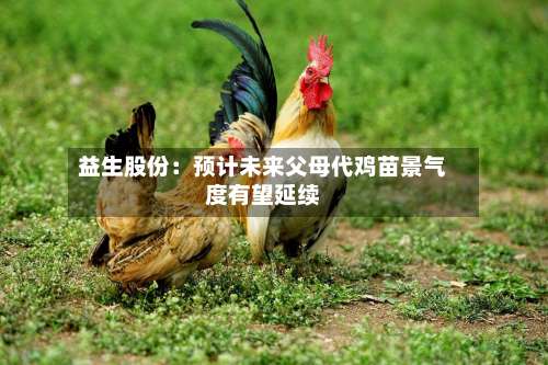 益生股份：预计未来父母代鸡苗景气度有望延续-第1张图片