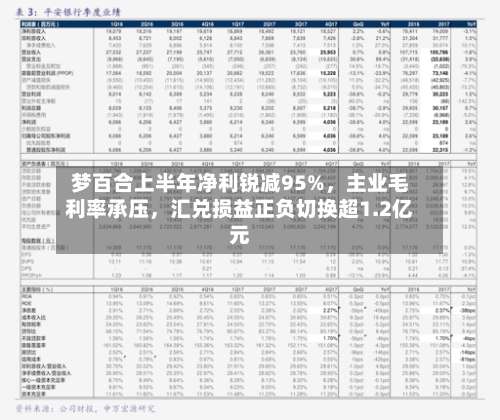 梦百合上半年净利锐减95%，主业毛利率承压	，汇兑损益正负切换超1.2亿元-第2张图片