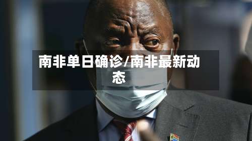 南非单日确诊/南非最新动态-第2张图片