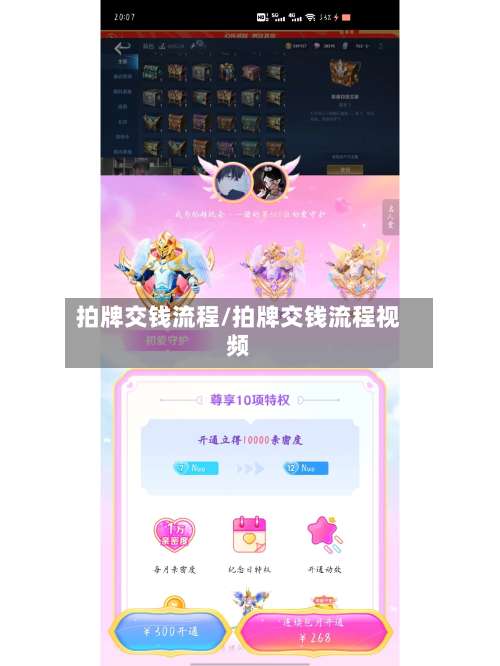 拍牌交钱流程/拍牌交钱流程视频-第3张图片