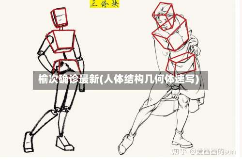 榆次确诊最新(人体结构几何体速写)-第2张图片