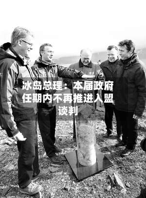 冰岛总理：本届政府任期内不再推进入盟谈判