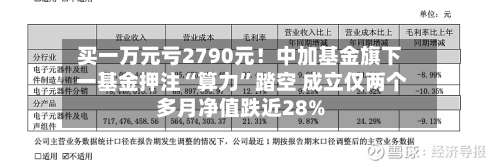 买一万元亏2790元！中加基金旗下 一基金押注“算力”踏空 成立仅两个多月净值跌近28%-第2张图片