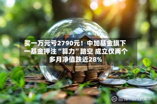 买一万元亏2790元！中加基金旗下 一基金押注“算力	”踏空 成立仅两个多月净值跌近28%-第3张图片